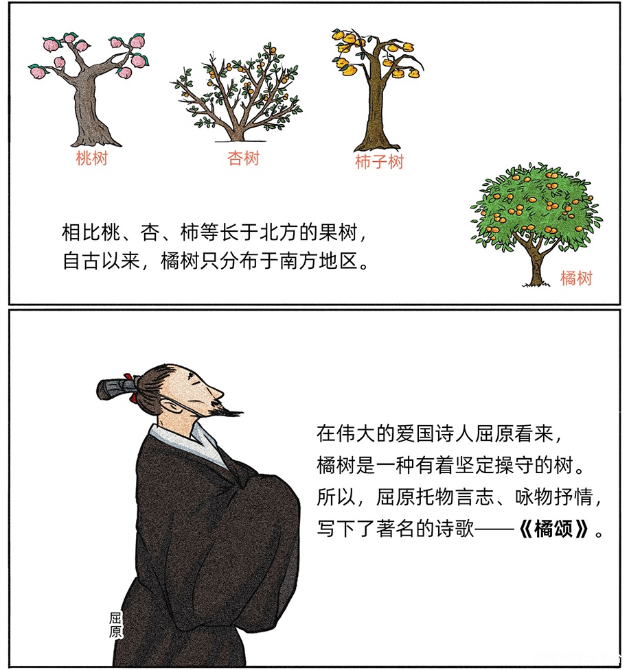 图层 5.png