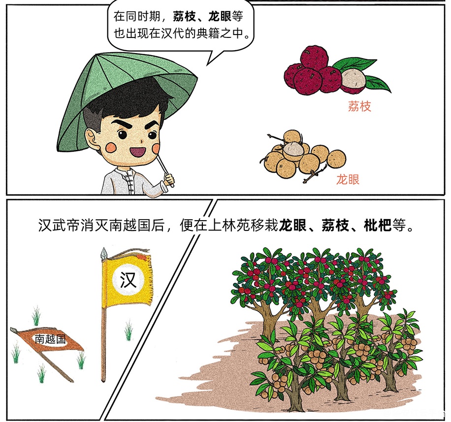 图层 7.png