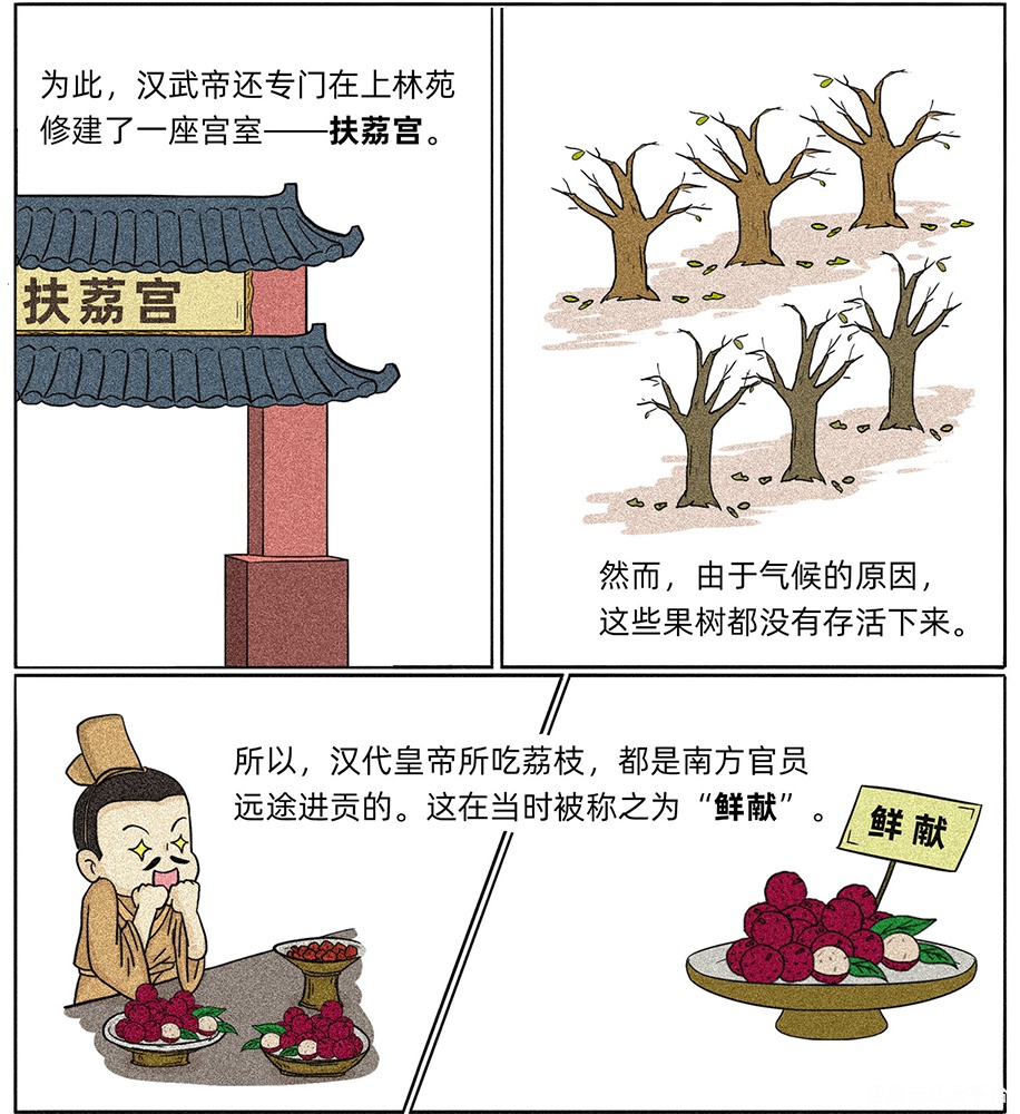 图层 8.png