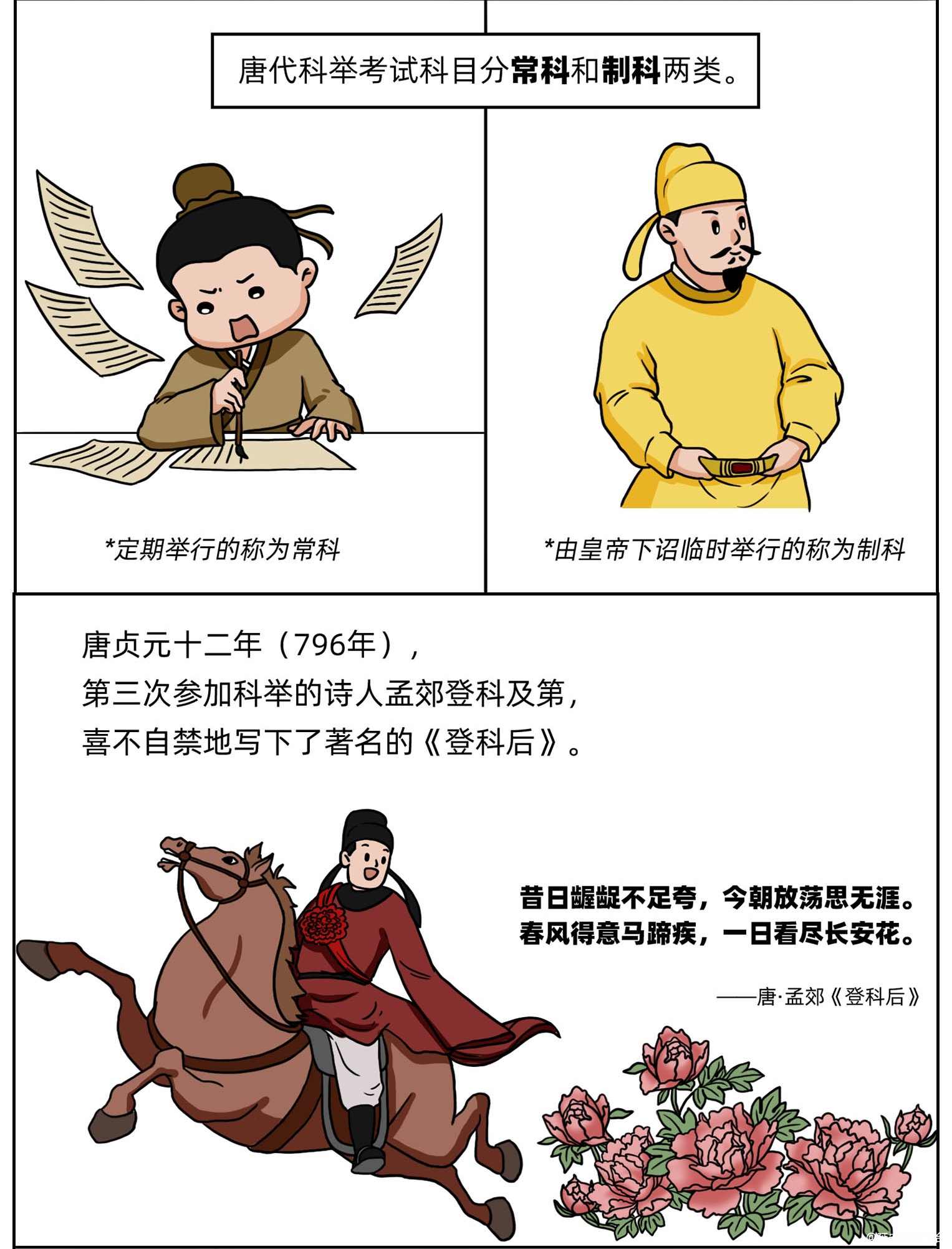 图层 8.png